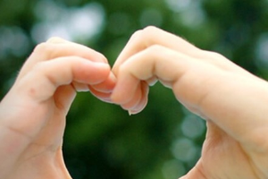 4-H Councils establish new term-endowed county funds in Kent and Muskegon