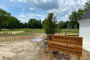 Detroit Partnership for Learning and Innovation moves forward despite pandemic