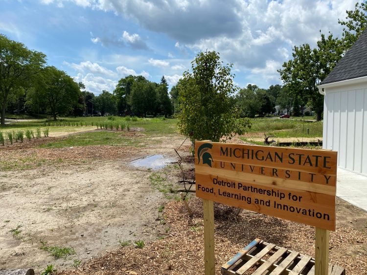 Learning Center at DPFLI