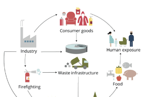 How will PFAS impact the Michigan cattle industry?