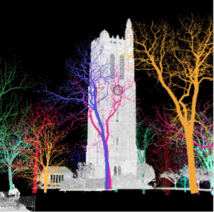 Photograph of a tall stone tower surrounded by leafless trees illuminated with vibrant neon colors including green, red, orange, pink, and blue against a black background. This is an example of 3D tree imagery captured using terrestrial laser scanners in an urban setting on Michigan State University’s campus.
