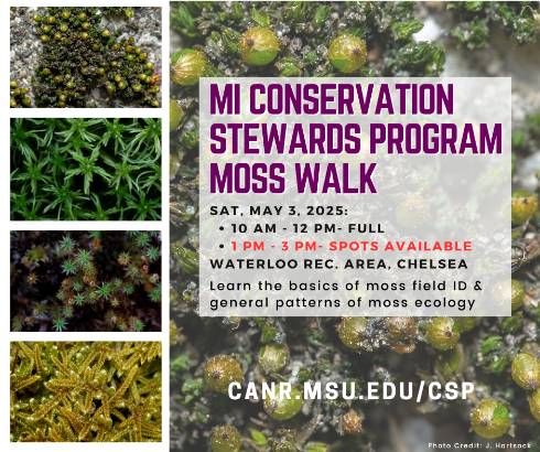 flyer with moss species