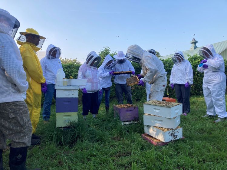 A group of people stand around an open honey bee hive.
