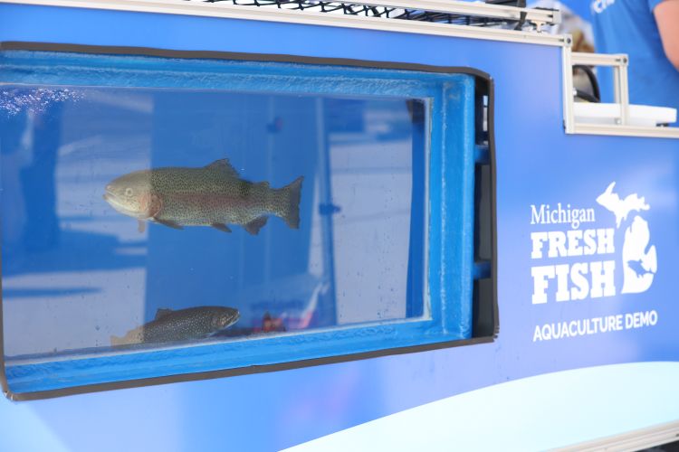 Live fish are showcased in the Mi Fresh Fish Aquaculture Demo tank.