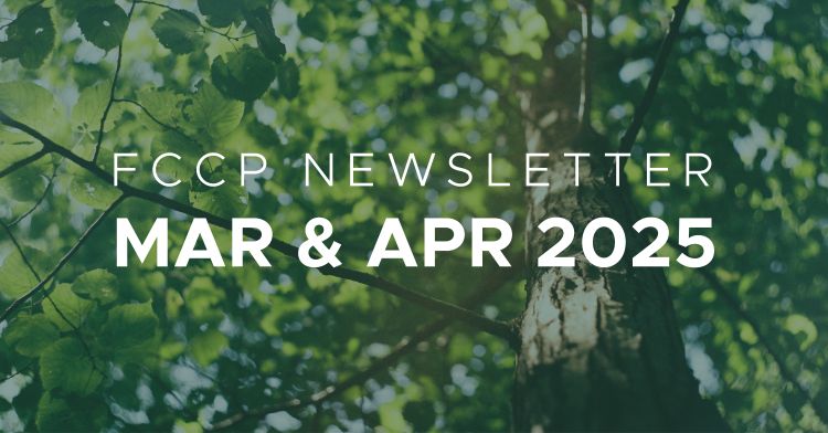 Picture of a tree with branches with 