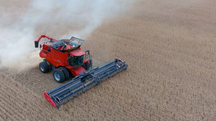 A red combine harvesting soybeans in a field.