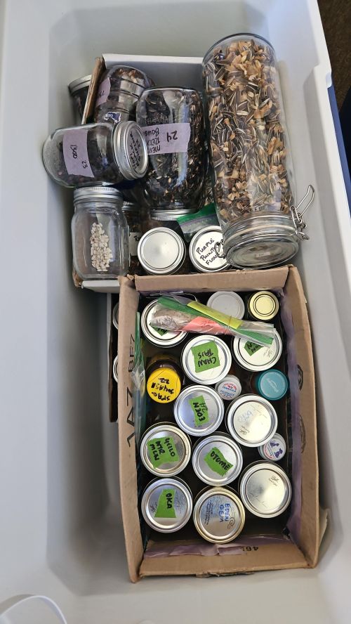 A photo of seeds in a cooler.