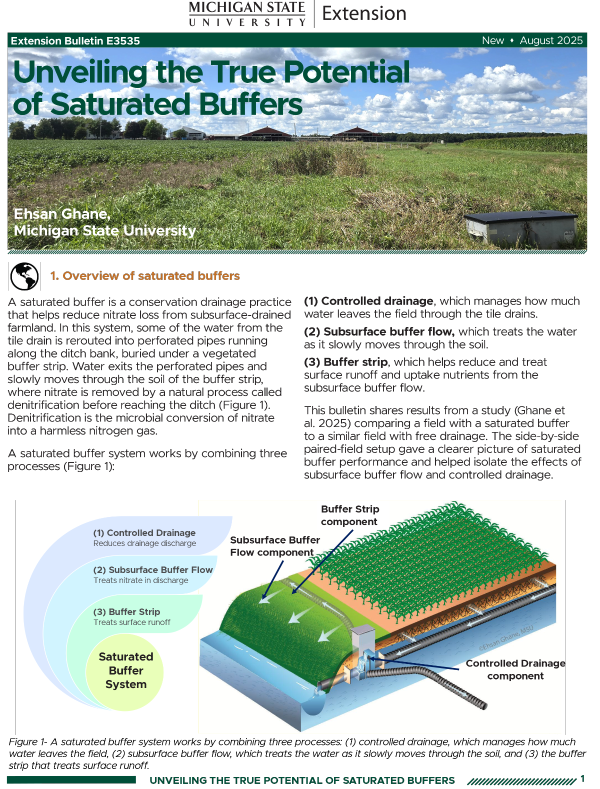 For decorative purposes.