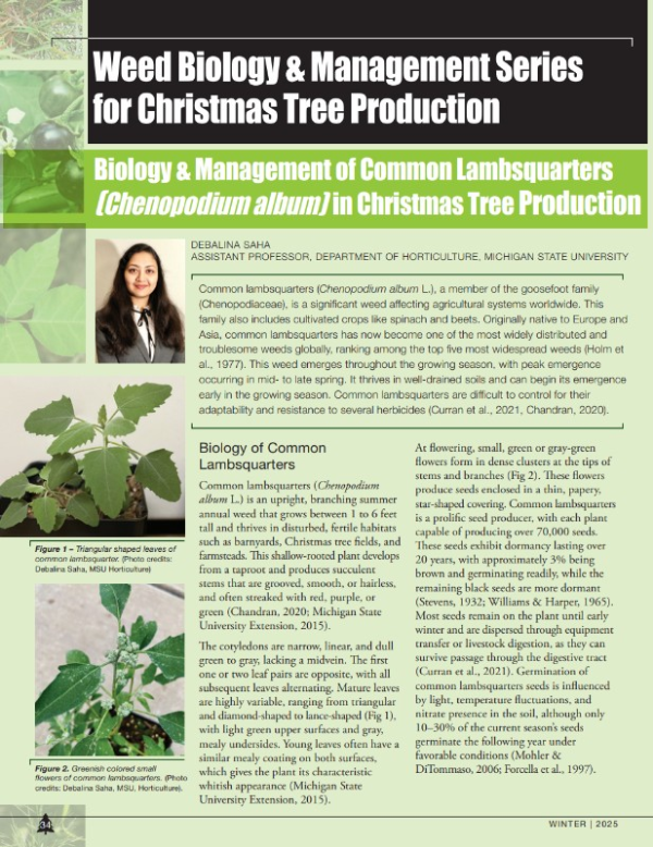 A photo of the first page of the resource.