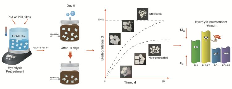 Hydrolysis pretreatment was performed on PLA and PCL to accelerate biodegradation, resulting in reduced molecular weight (Mw) and increased crystallinity (Xc). Specifically, the amorphous regions of PLA were significantly disrupted by the pretreatment, leading to less stable crystalline structures, which positively influenced the overall degradation. Consequently, hydrolysis pretreatment notably enhanced biodegradation in PLA, whereas it exhibited minimal impact on PCL.
