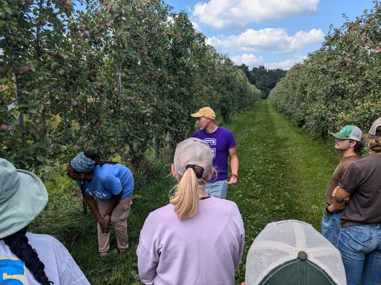 People standing in front of a vegetable crop