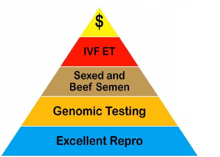 graphic explained in article