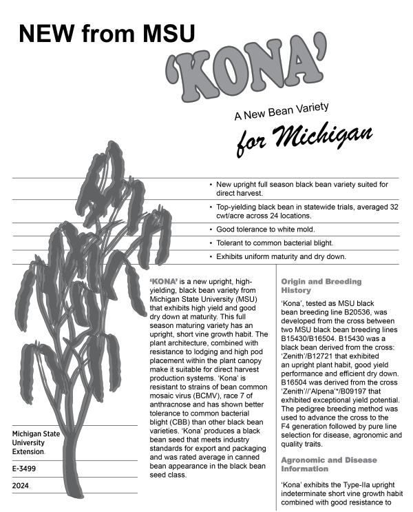 Cover of front of fact sheet.