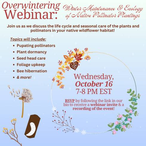 Image of promotional flier.