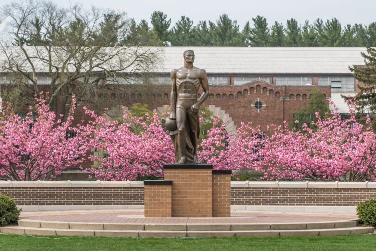 The Spartan Statue with flower trees in the backyard on the campus of Michigan State University.