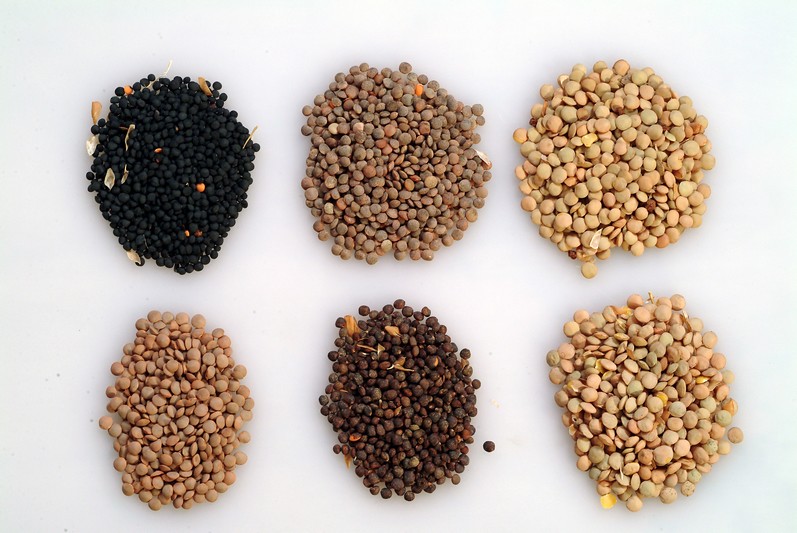 Various types of lentils.
