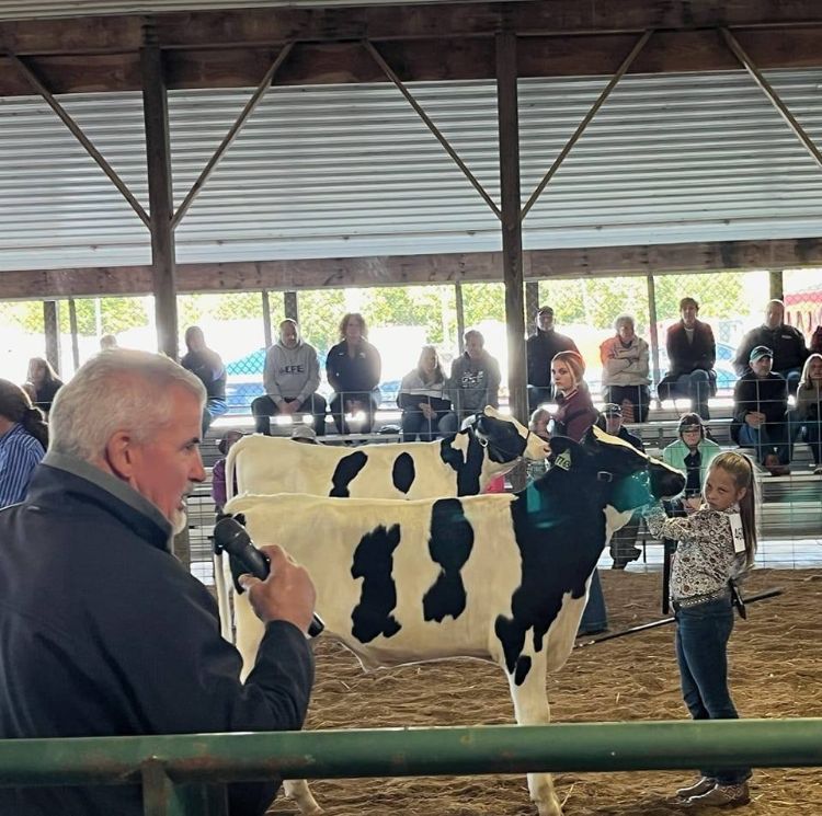 A young girl with a black and white dairy feeder steer standing in front of a man on a mic. In the background, people in the stands.