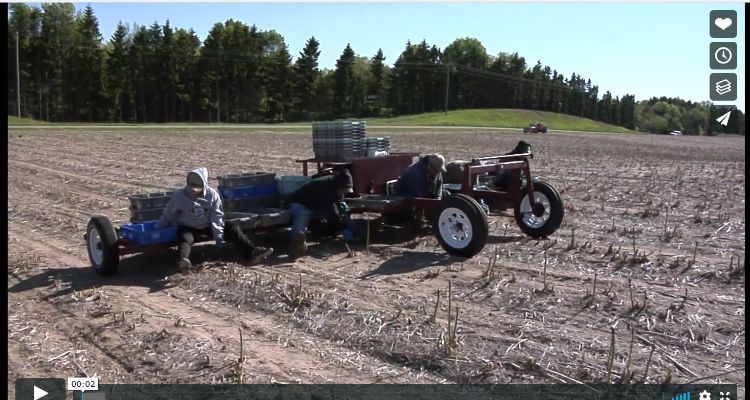 Screenshot of harvest training video
