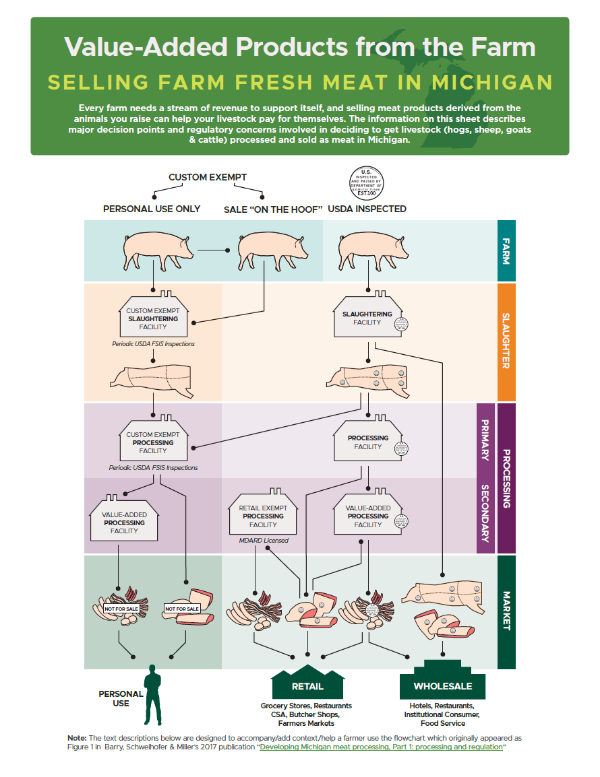 Infographic showing options for processing meat in Michigan
