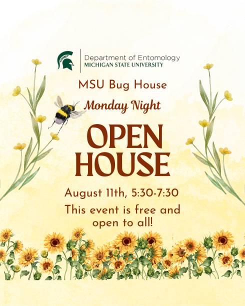 Sunflowers and bumblebees frame text that reads 