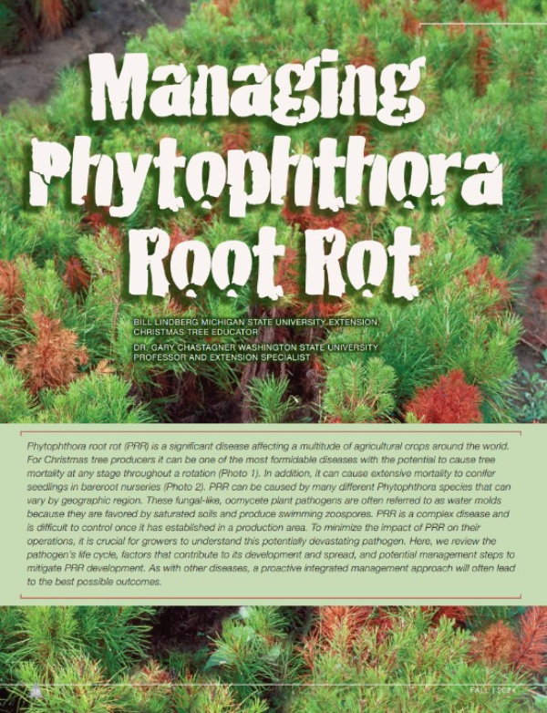 A photo of the first page of the resource.