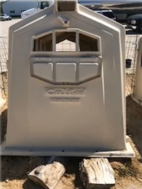 white calf house sitting on top of wood pieces