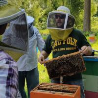 Adam Ingrao holding a beekeeping frame full of bees