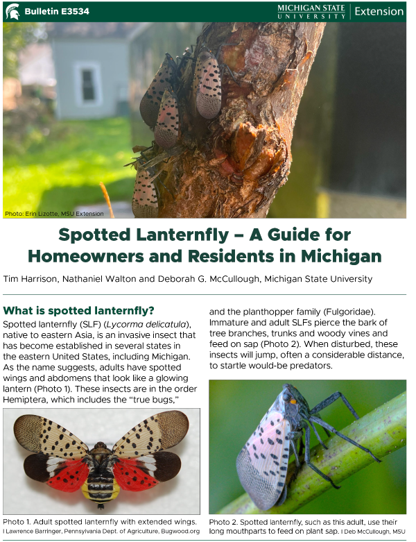 Screenshot of the first page of the guide.