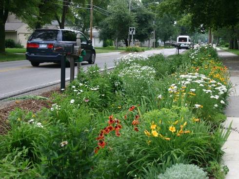 Rain garden between sidewalk and roadway