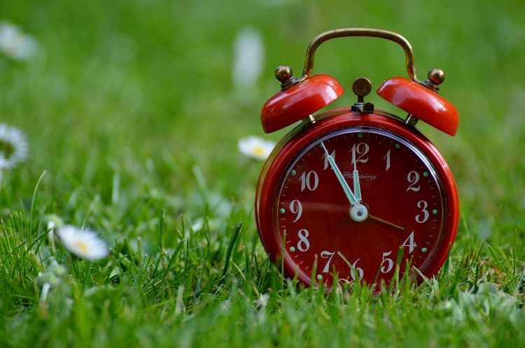 An alarm clock in a grassy field.
