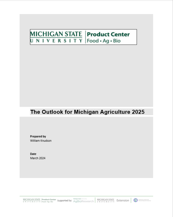 Cover page for the report titled 