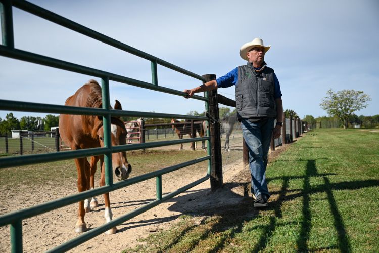 Image of Gayelord Mankowski standing along the fence line at the MSU Horse Teaching and Research Center with Arabian stallion Marco standing in the background.