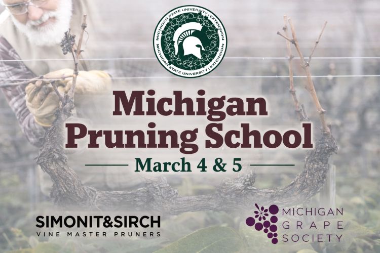 For decorative purposes.