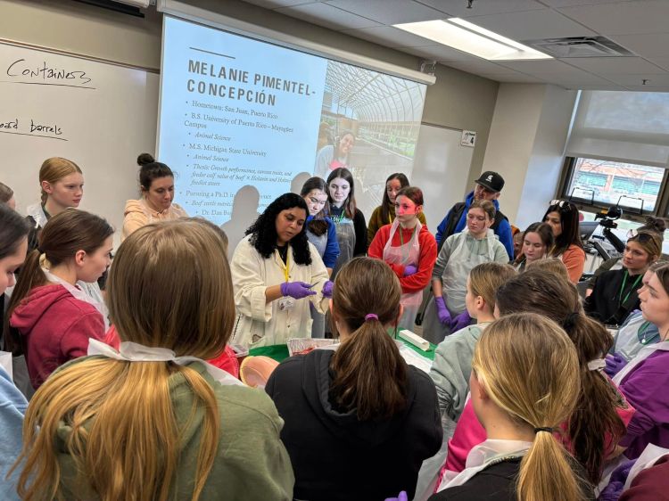 A group of conference participants watch and learn as a dissection instructor goes through a reproductive tract dissection example.