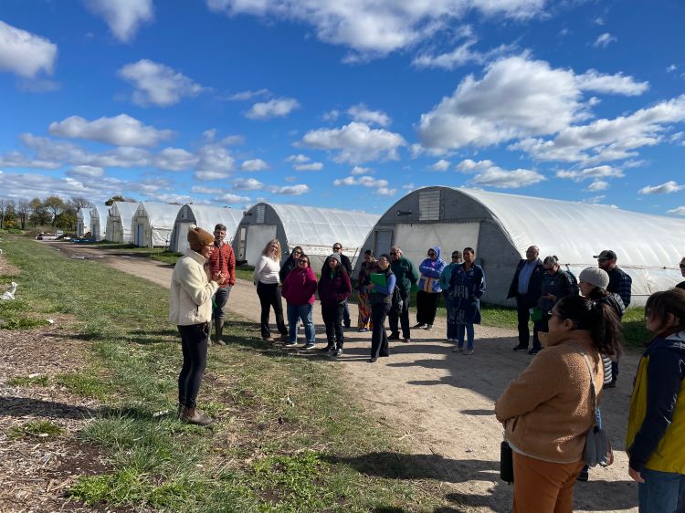 For decorative purposes.