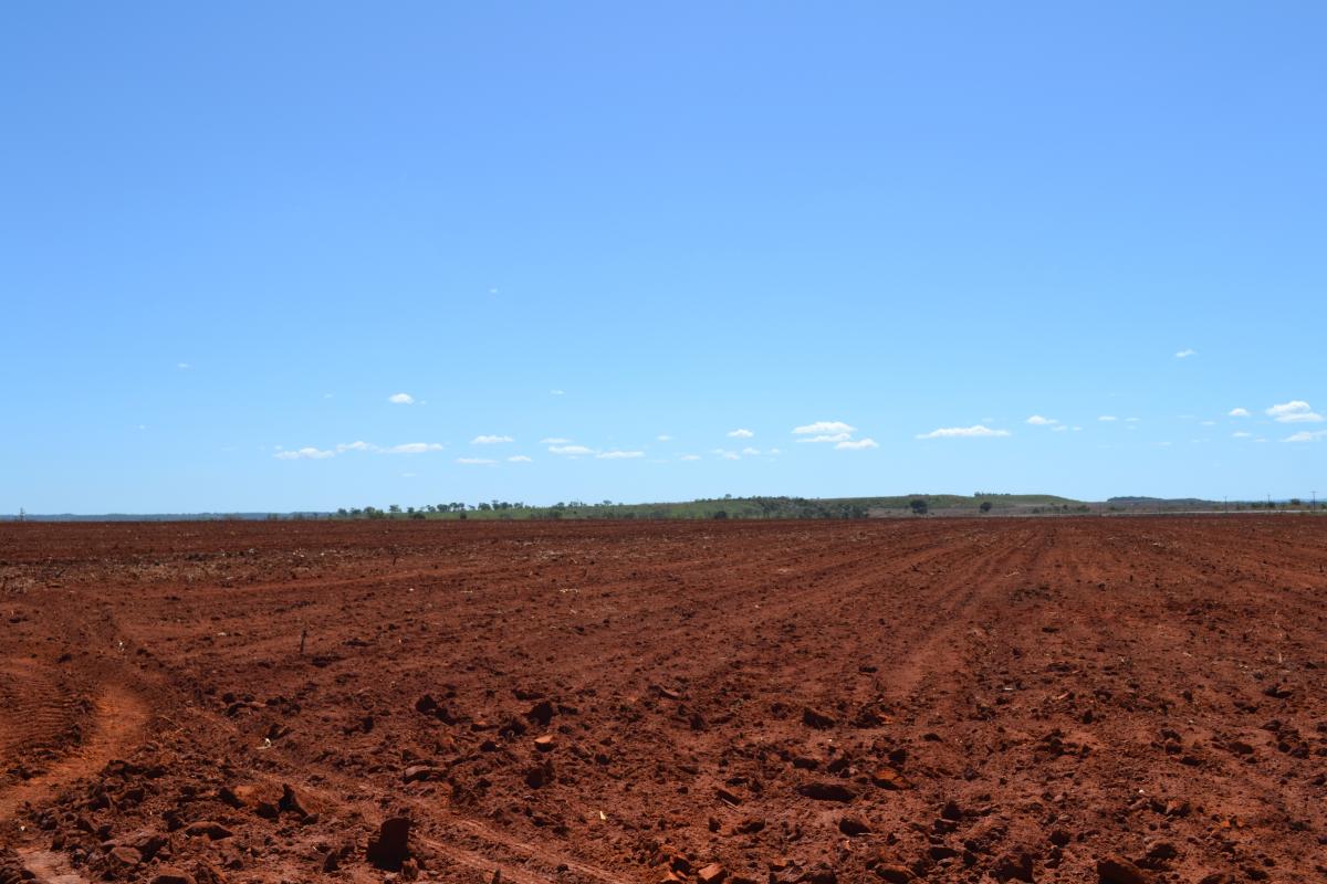 Cerrado converted to cropland
