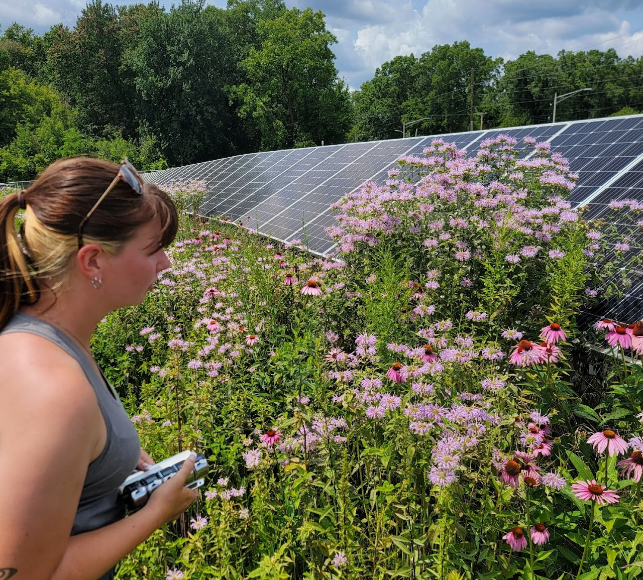 Fellow looking at flowers