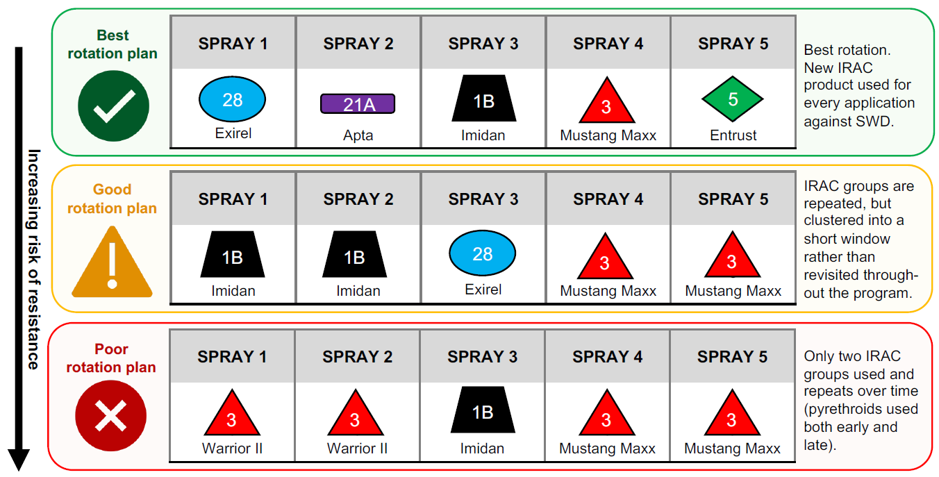 Infographic comparing insecticide rotation plans for spotted wing drosophila (SWD), showing best, good, and poor examples based on IRAC mode-of-action groups. The graphic emphasizes rotating different IRAC groups between sprays to reduce the risk of insecticide resistance.