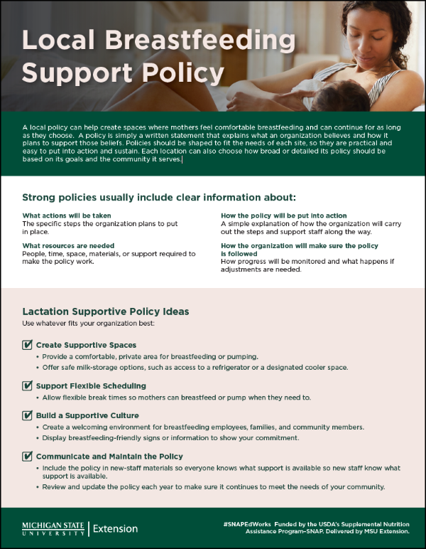 Local+Breastfeeding+Support+Policy.png