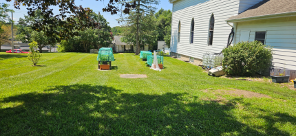 step 3 Trinity Lutheran summer 2024 (2).jpeg A yard with small greenhouses and a white building.