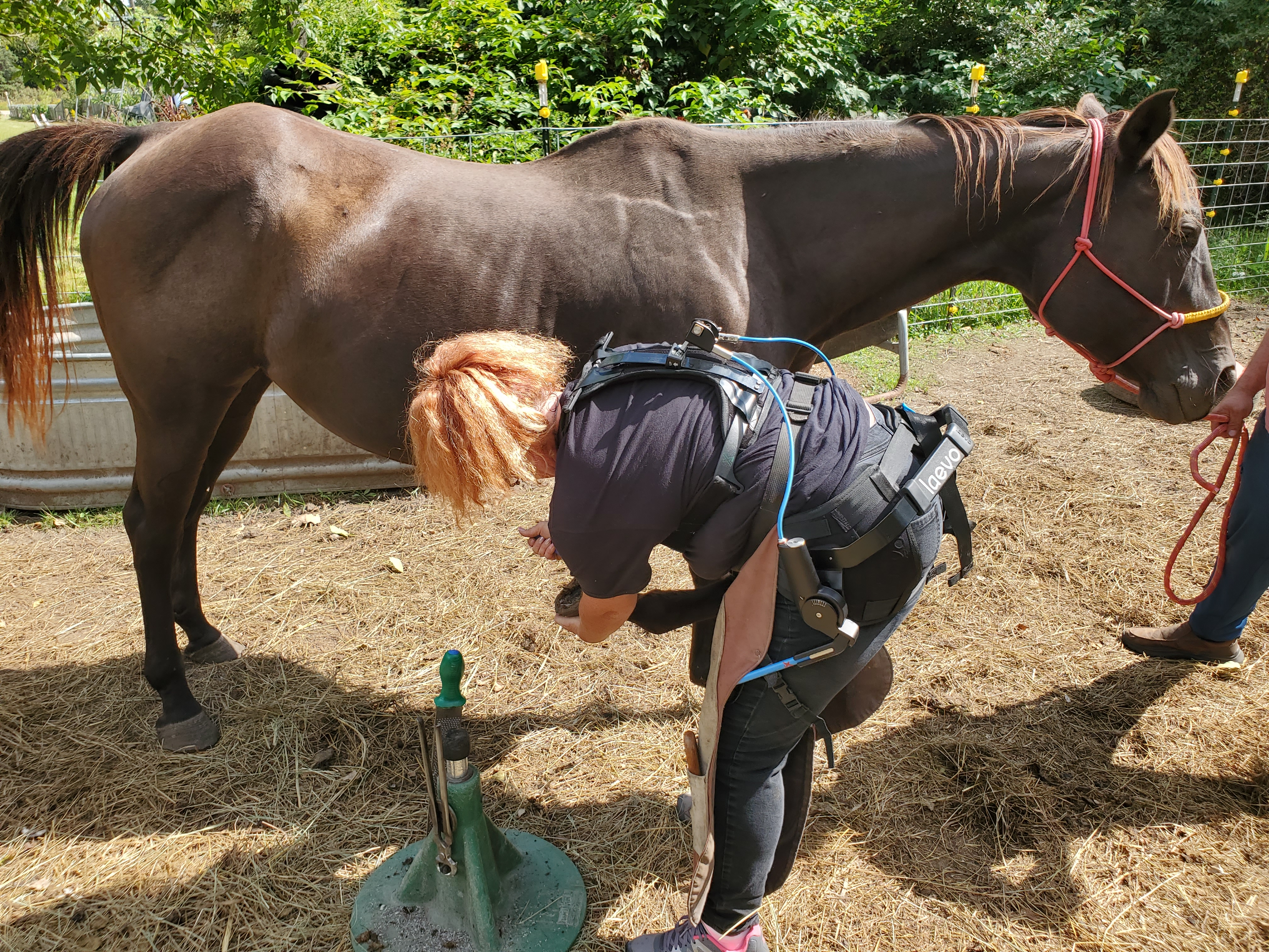 A farrier bending at a 90-degree angle next to a horse, working on the horse's hoof. Visible over her clothes is a small vest, hip belt and thigh pads, with blue cables connecting them. 