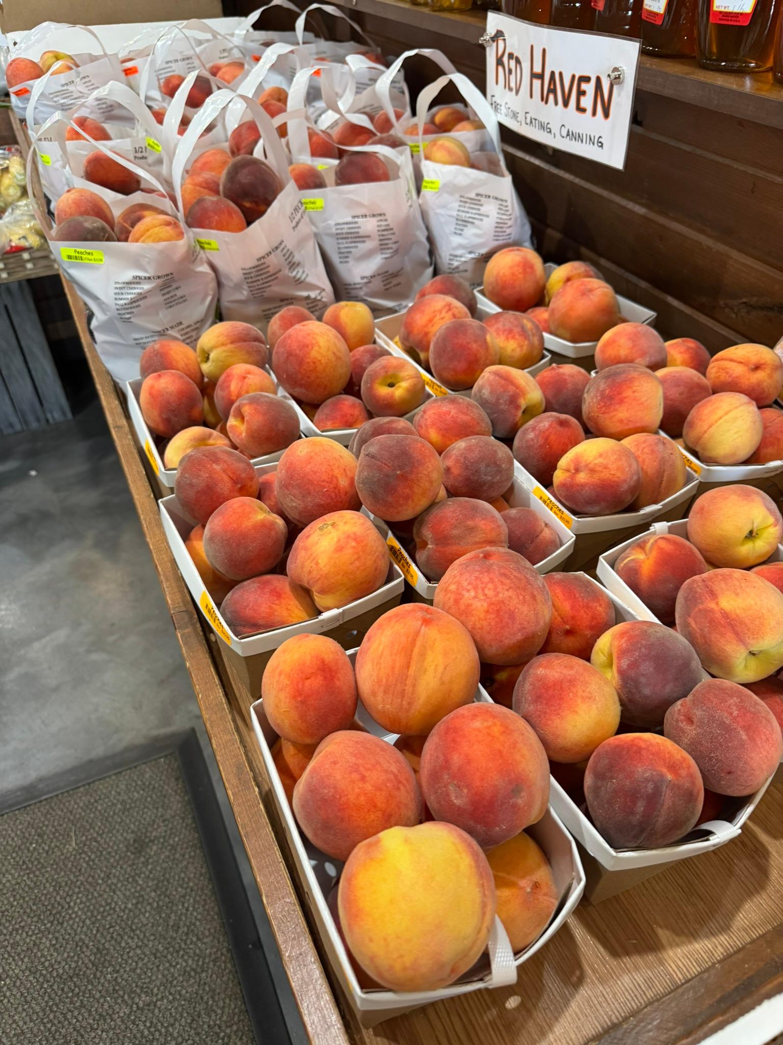 Peach_RedHaven_Spicers_August18_2025.JPEG