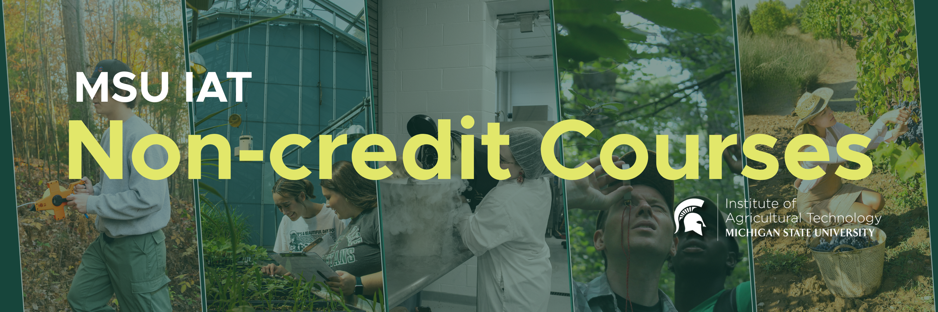 Non Credit Course Banner