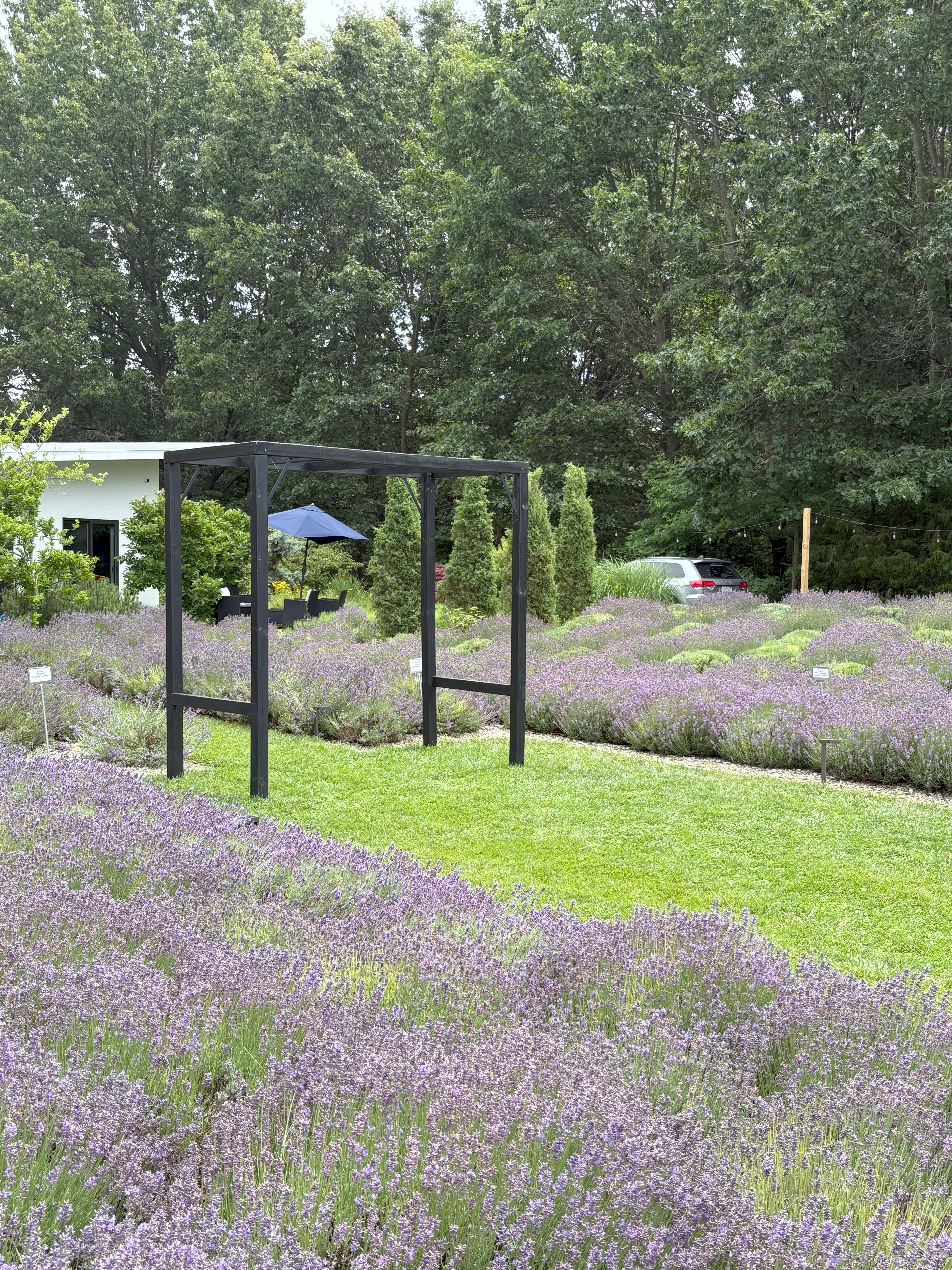 For decorative purposes.