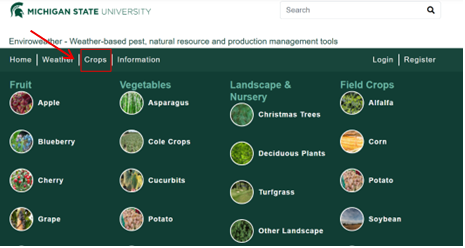 Screenshot of the Michigan State University Enviroweather website with the "Crops" tab selected, displaying a dropdown menu of crop categories including fruit, vegetables, landscape and nursery, and field crops.