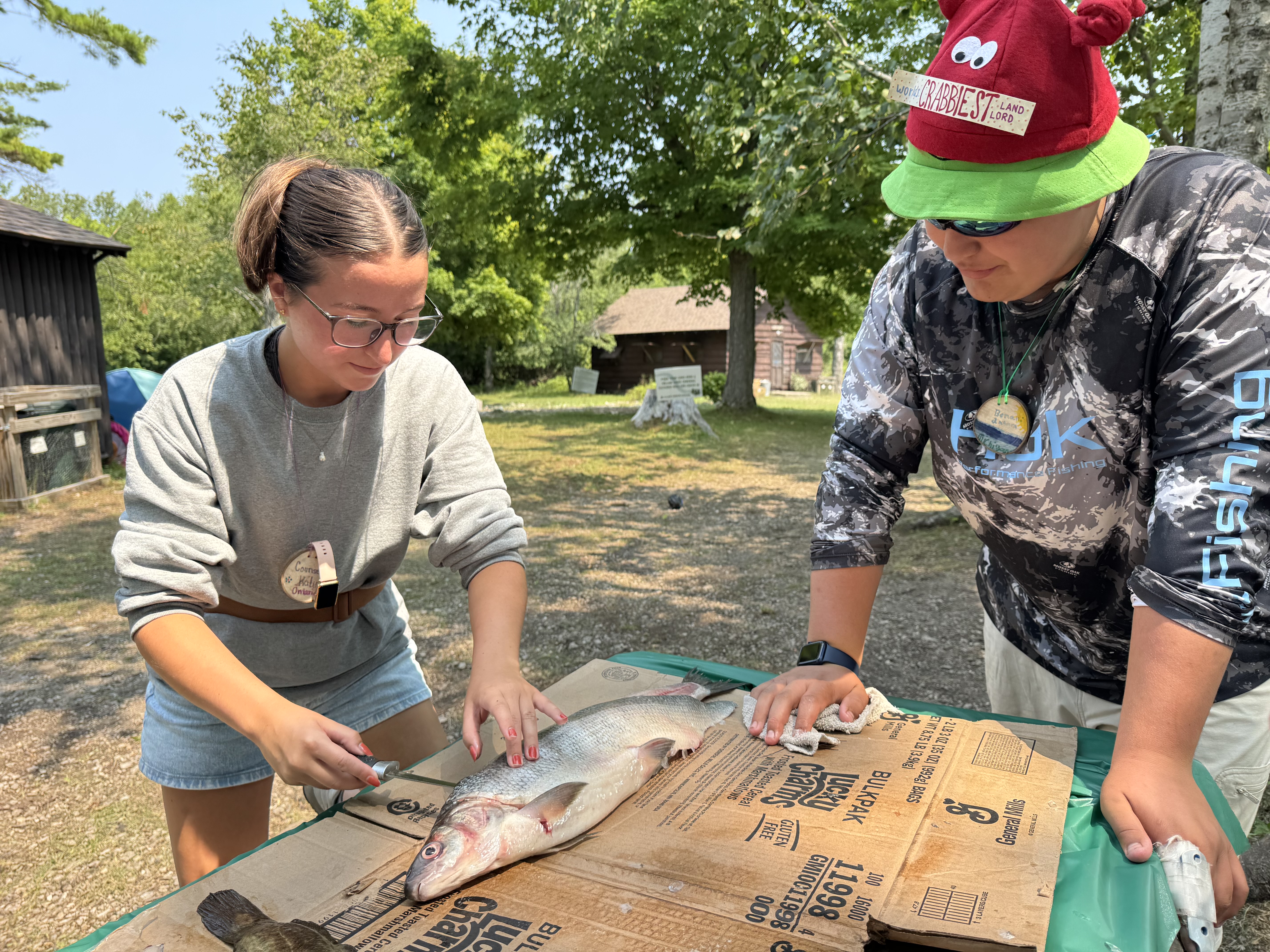 Two people standing over a fish on a table as one learns how to filet with a knife.