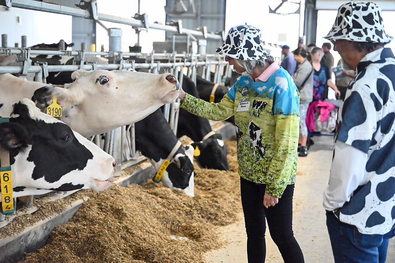 Rossfamily-dairy2026.jpeg