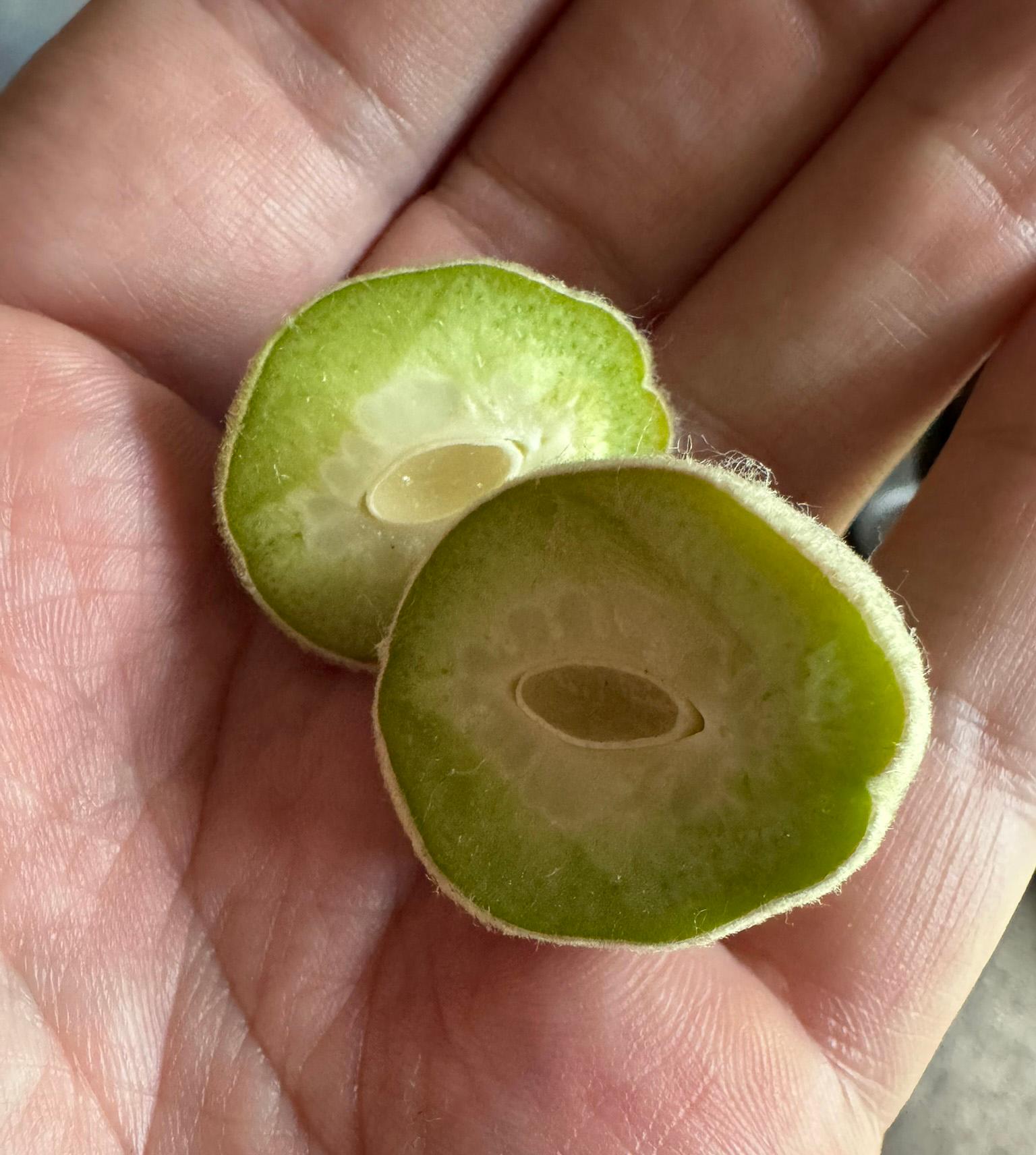 A peach fruitlet sliced in half, resting in a hand.