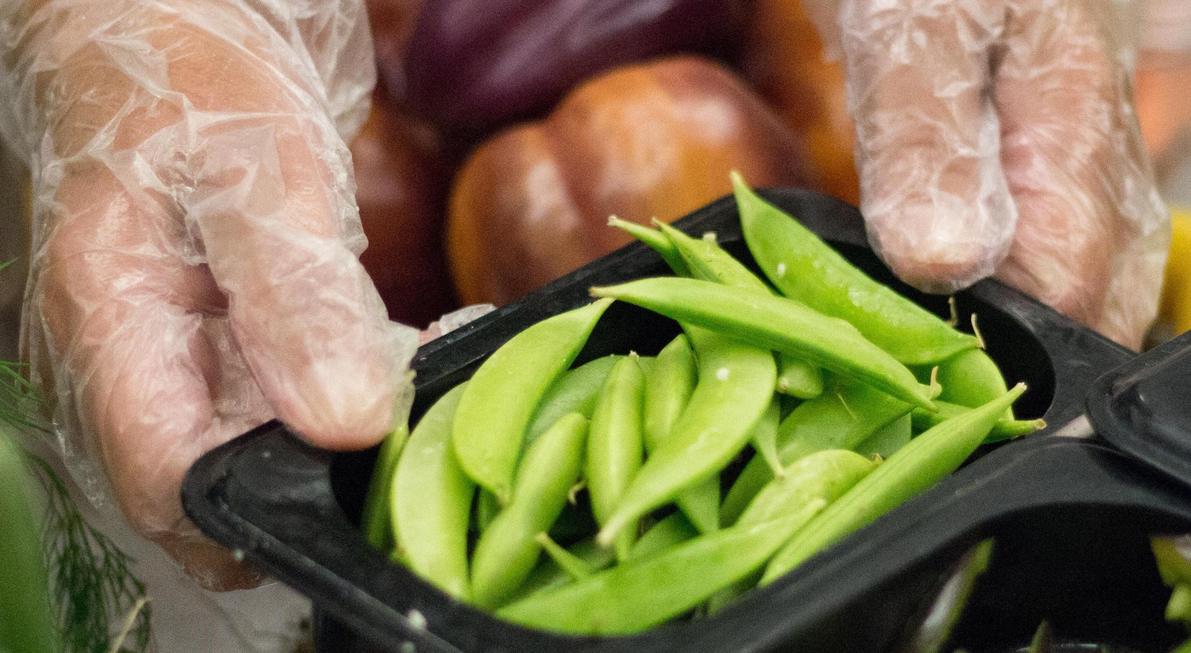 Hands wearing food service gloves hold a container filled with fresh green beans, with more produce in the background