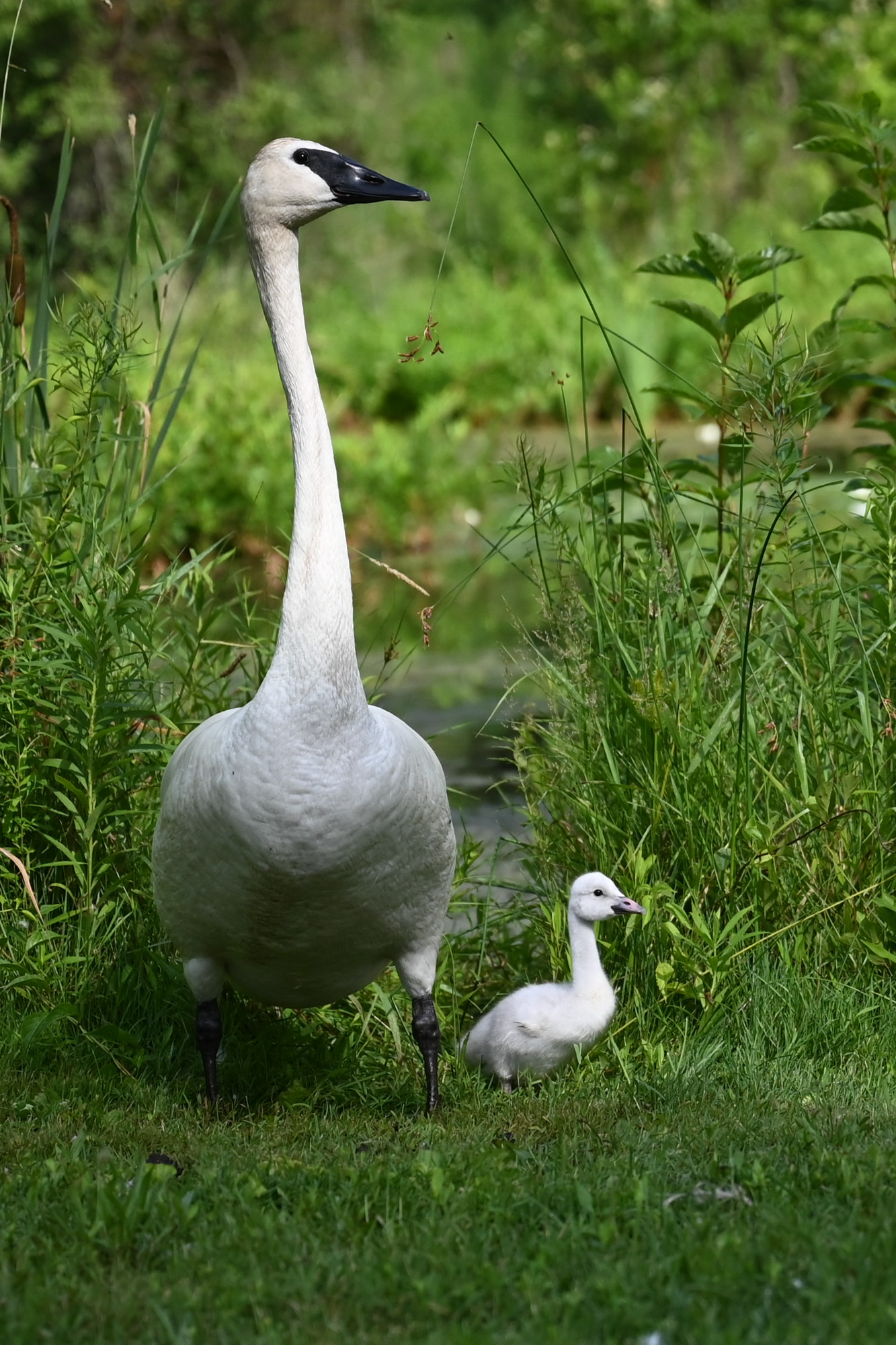 DSC_1220.jpg